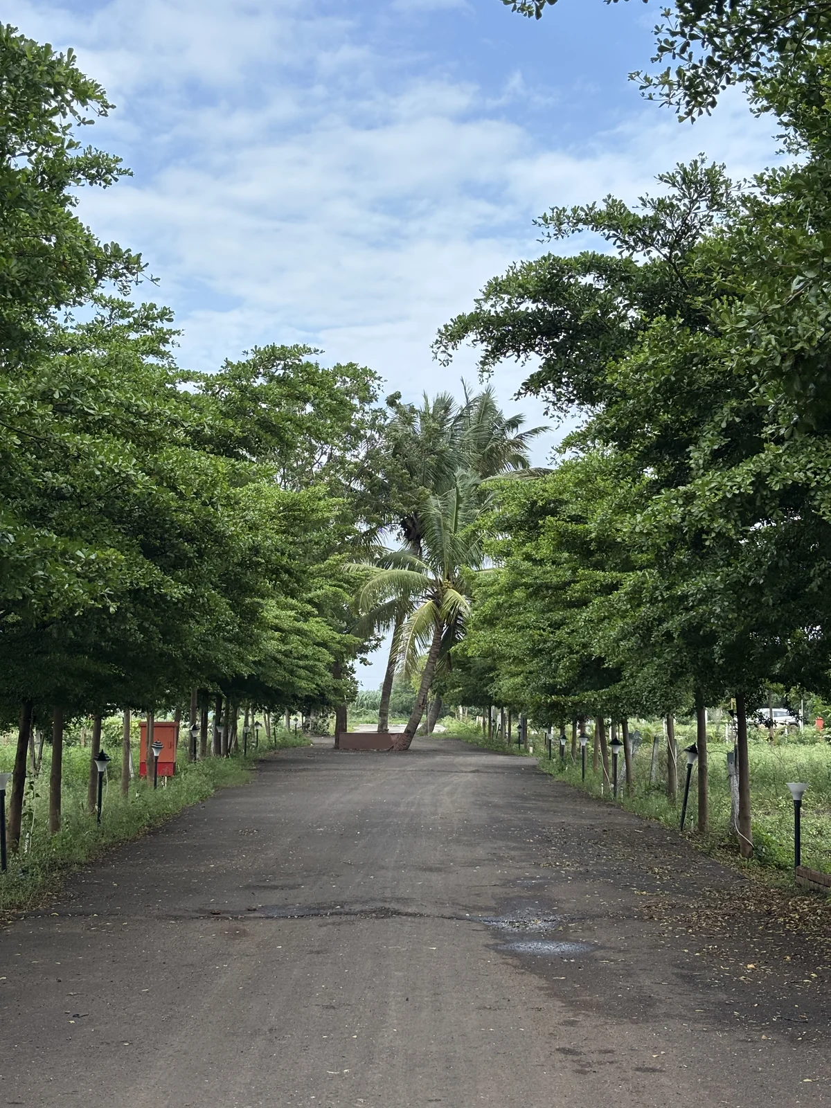 Landscaped avenue inside Vrindavan Park