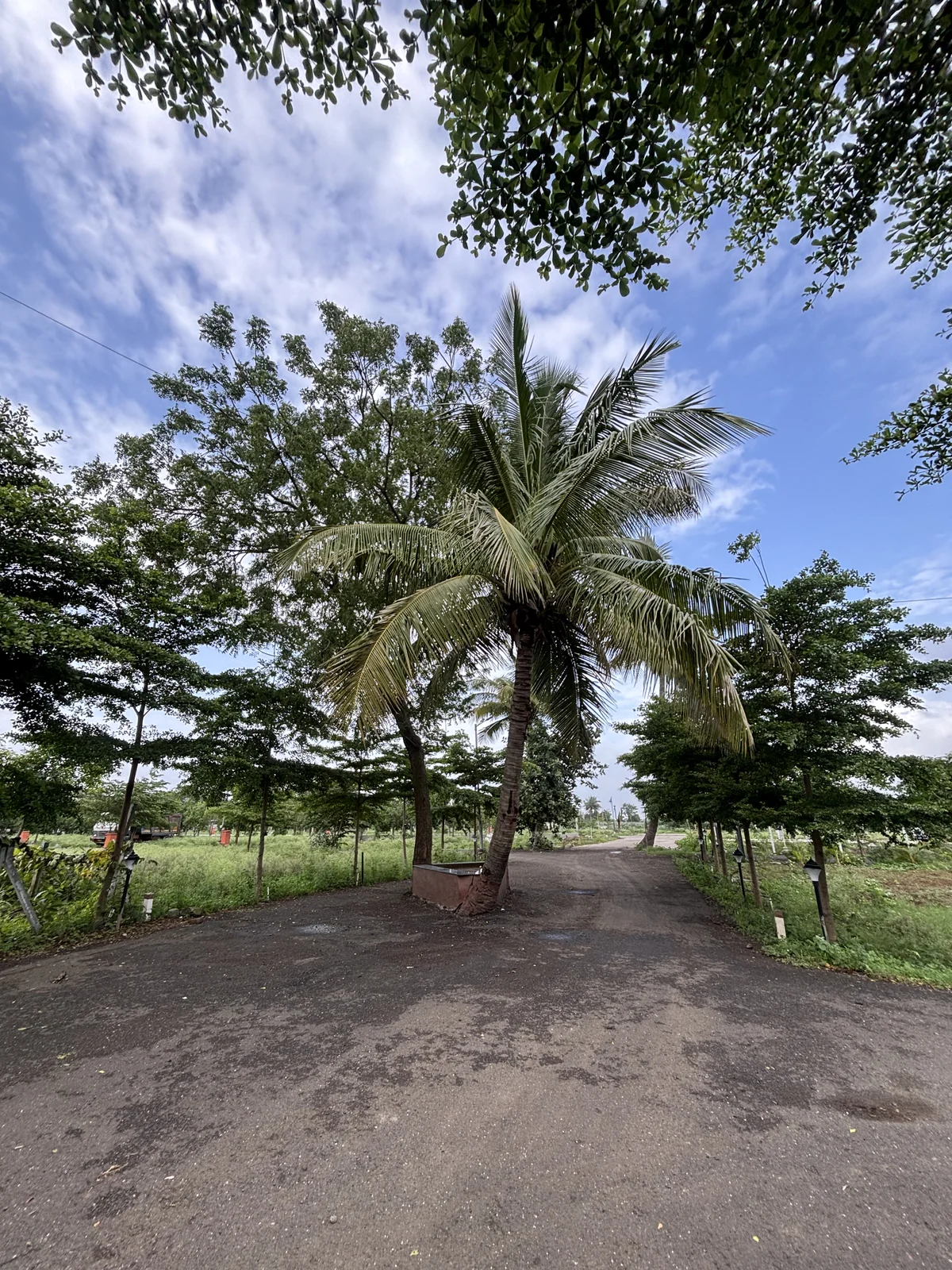 Green plotted layout at Vrindavan Park