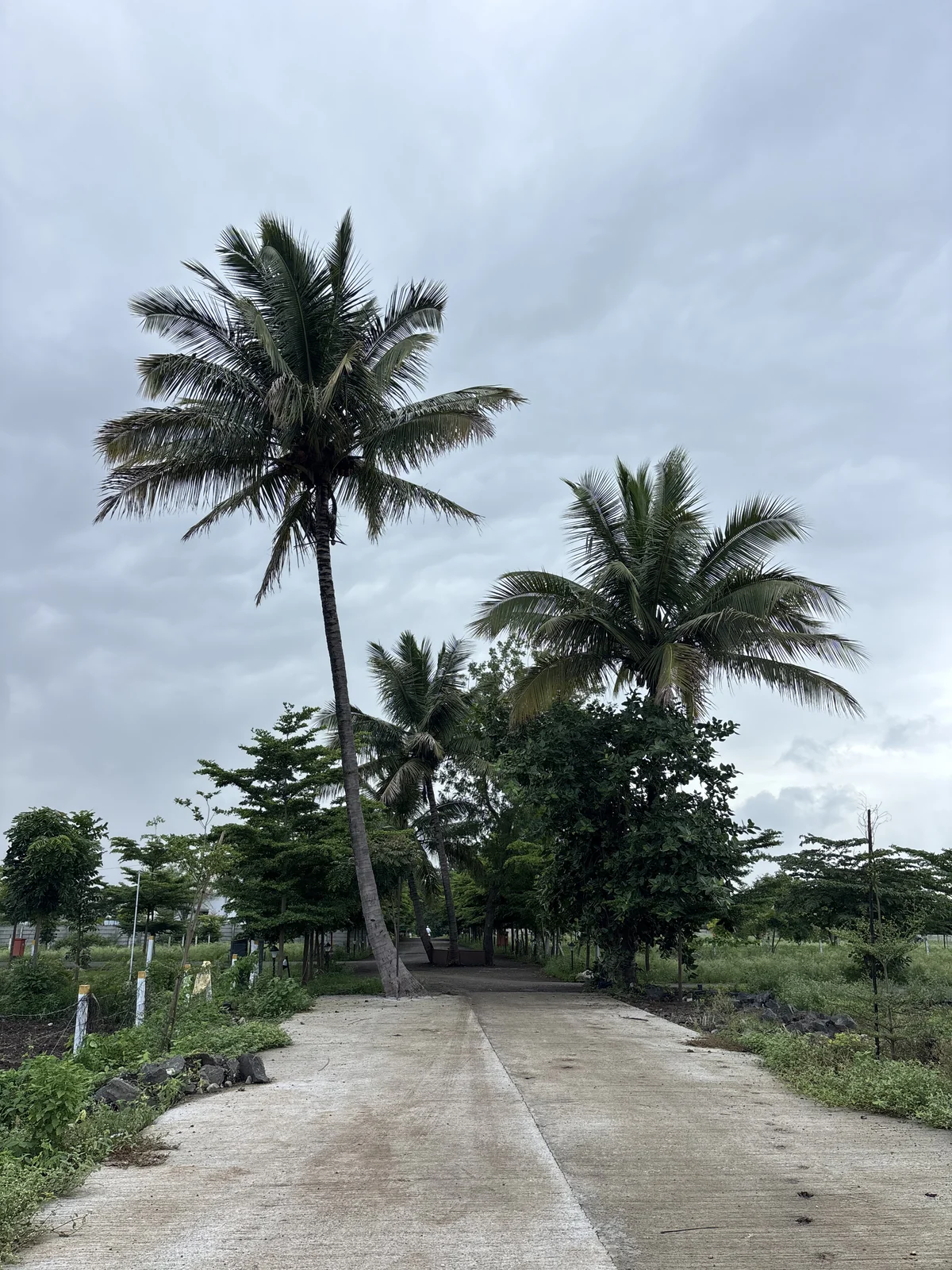 Internal concrete road at Vrindavan Park