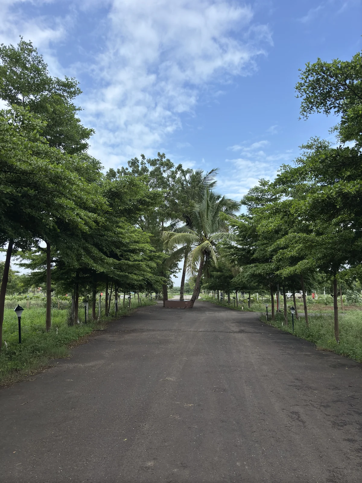 Road and infrastructure development at Vrindavan Park